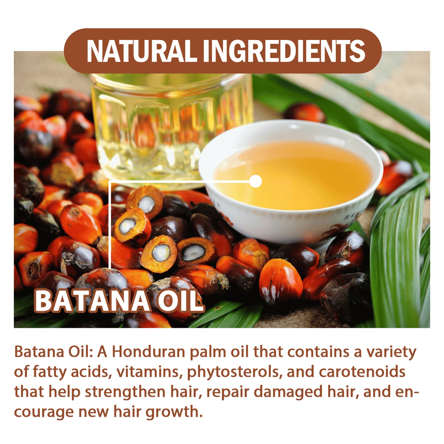 Batana Oil Conditioner Moisturizes